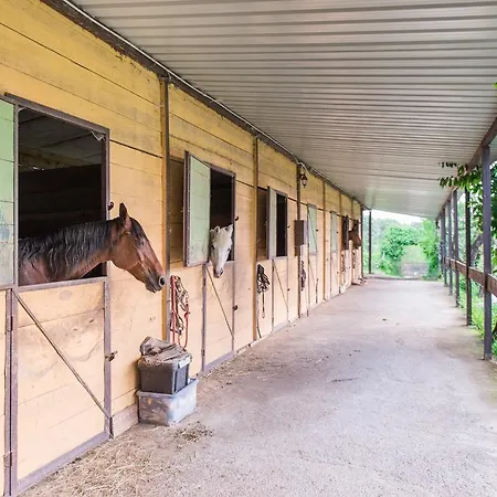 Farm stay Agriturismo Prisma Olginate