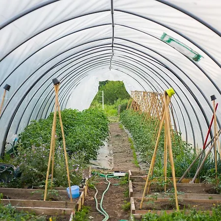 Farm stay Agriturismo Prisma *